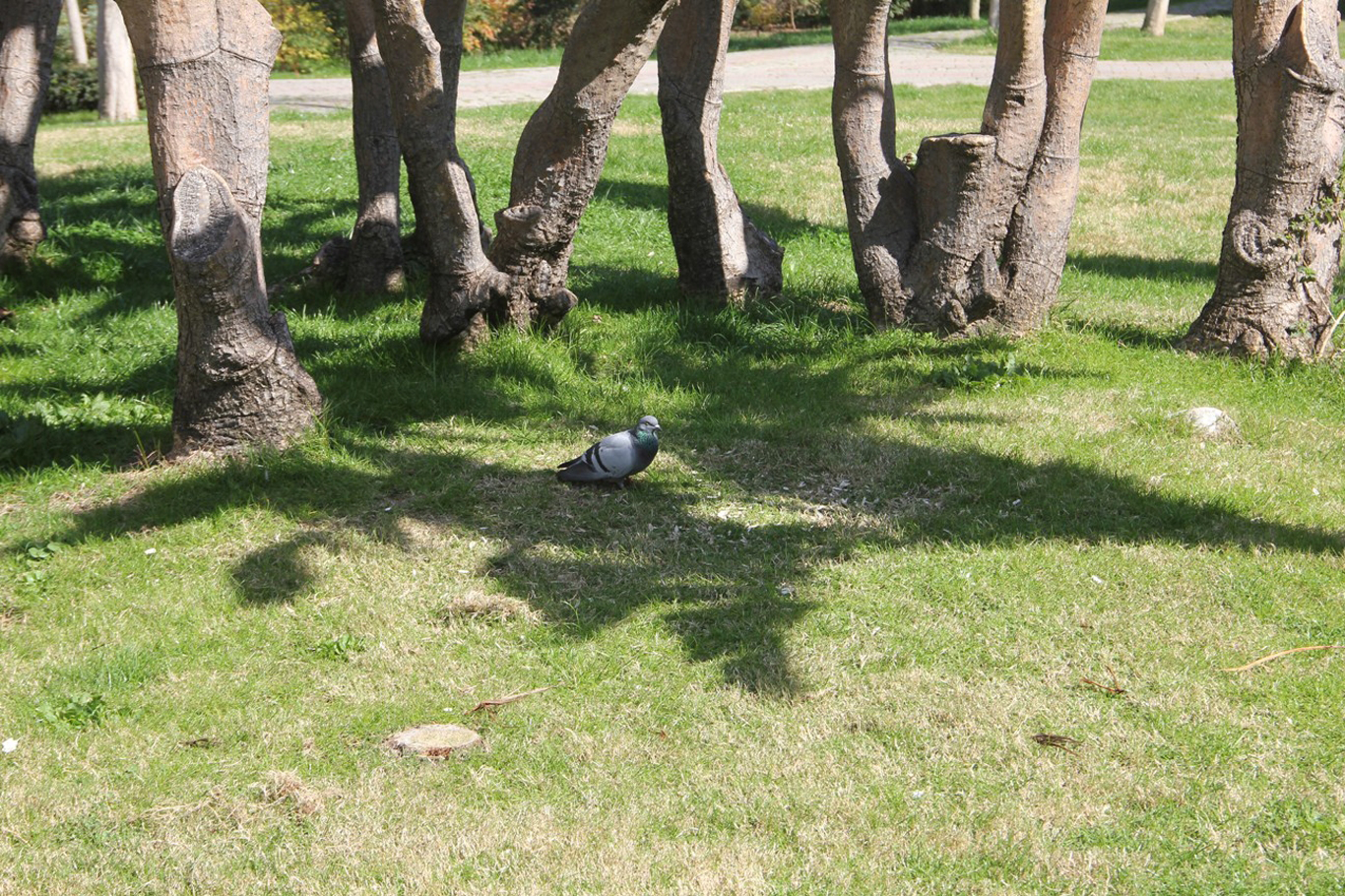 Türkiye’de Son 55 Yılın En Sıcak Temmuz Ayı