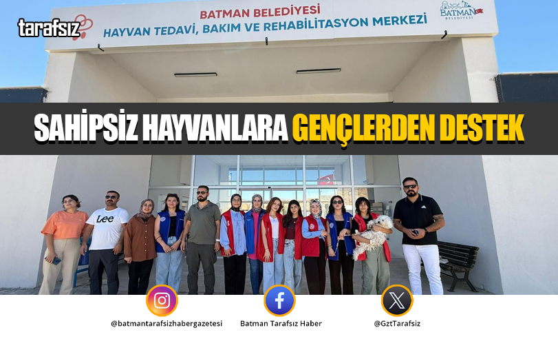 SAHİPSİZ HAYVANLARA GENÇLERDEN DESTEK