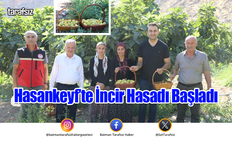 Hasankeyf’te İncir Hasadı Başladı