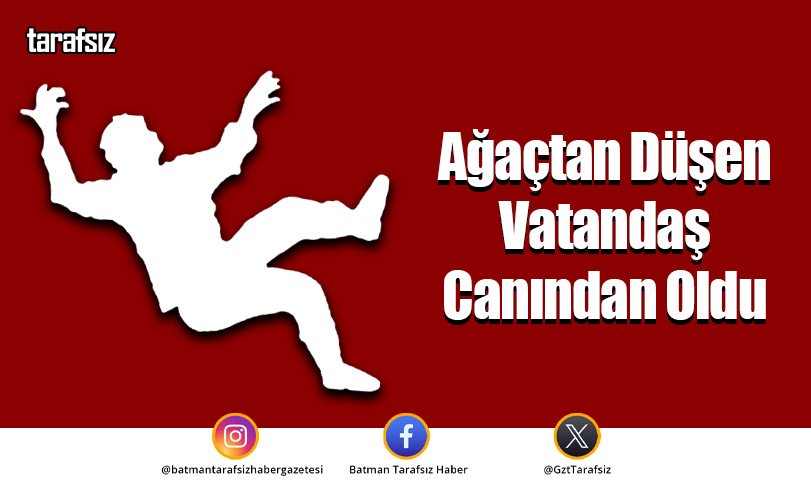 Ağaçtan Düşen Vatandaş Canından Oldu