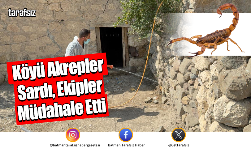 Köyü Akrepler Sardı, Ekipler Müdahale Etti