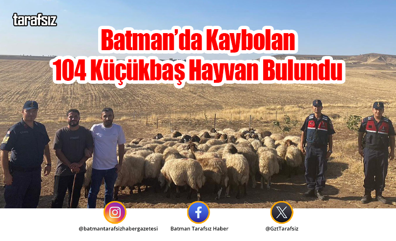 Batman’da Kaybolan 104 Küçükbaş Hayvan Bulundu