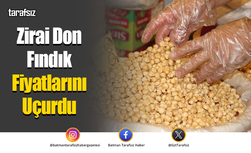 Zirai Don Fındık Fiyatlarını Uçurdu