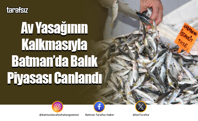 Av Yasağının Kalkmasıyla Batman’da Balık Piyasası Canlandı