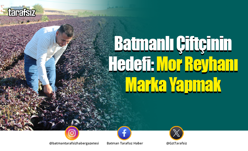 Batmanlı Çiftçinin Hedefi: Mor Reyhanı Marka Yapmak