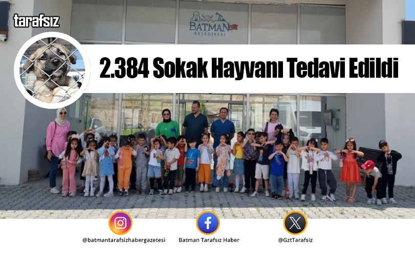 2.384 Sokak Hayvanı Tedavi Edildi