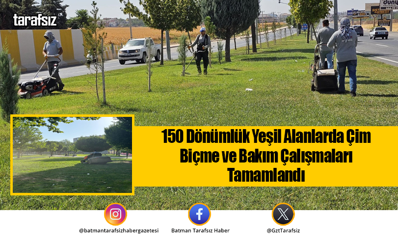 150 Dönümlük Yeşil Alanlarda Çim Biçme ve Bakım Çalışmaları Tamamlandı