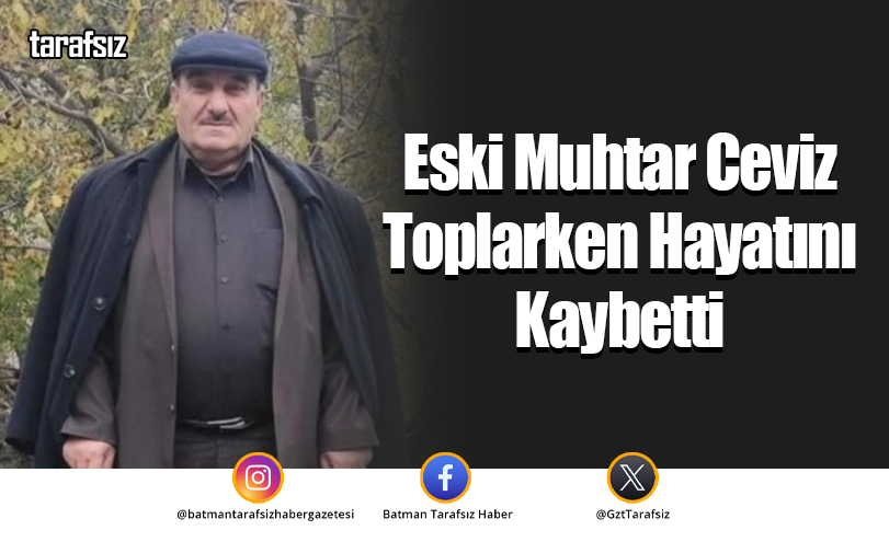 Eski Muhtar Ceviz Toplarken Hayatını Kaybetti