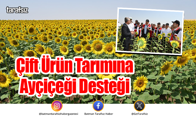 Çift Ürün Tarımına Ayçiçeği Desteği