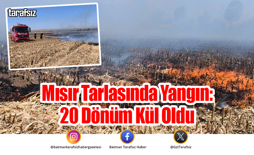 Mısır Tarlasında Yangın: 20 Dönüm Kül Oldu