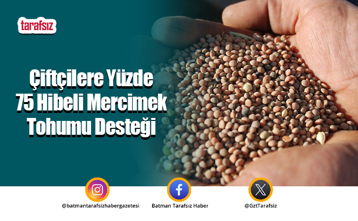 Çiftçilere Yüzde 75 Hibeli Mercimek Tohumu Desteği