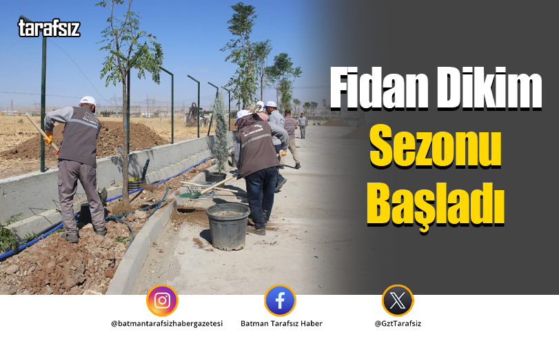 Fidan Dikim Sezonu Başladı