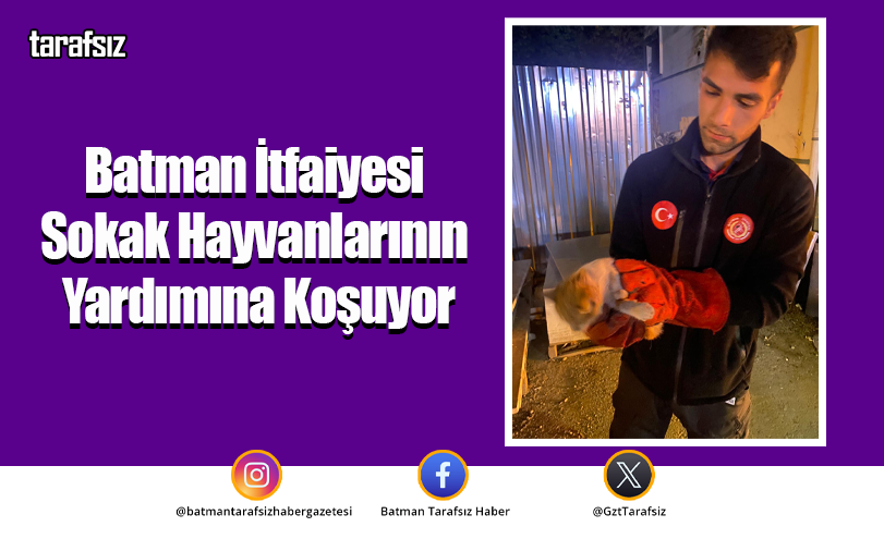 Batman İtfaiyesi Sokak Hayvanlarının Yardımına Koşuyor