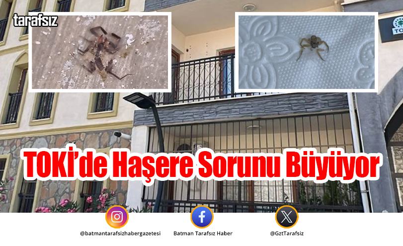 TOKİ’de Haşere Sorunu Büyüyor
