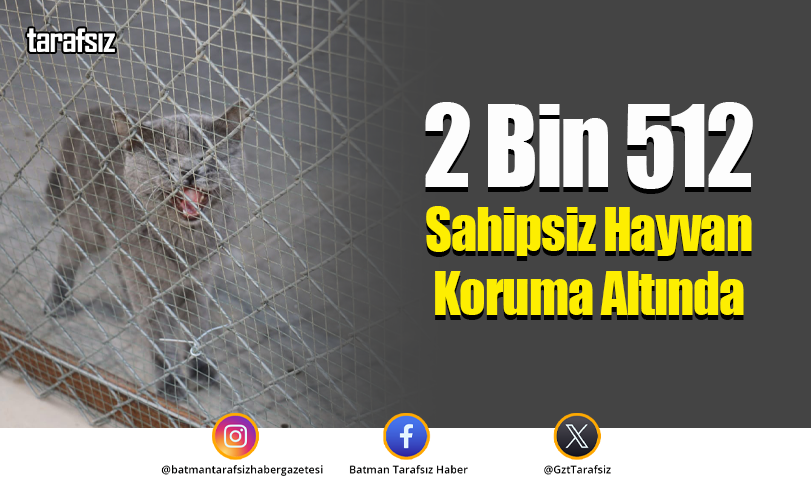2 Bin 512 Sahipsiz Hayvan Koruma Altında