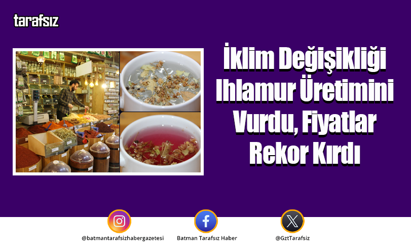 İklim Değişikliği Ihlamur Üretimini Vurdu, Fiyatlar Rekor Kırdı