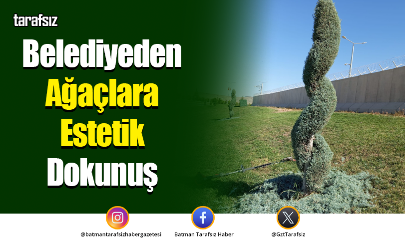 Belediyeden Ağaçlara Estetik Dokunuş