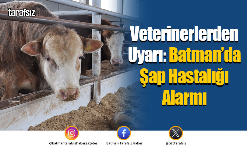 Veterinerlerden Uyarı: Batman’da Şap Hastalığı Alarmı