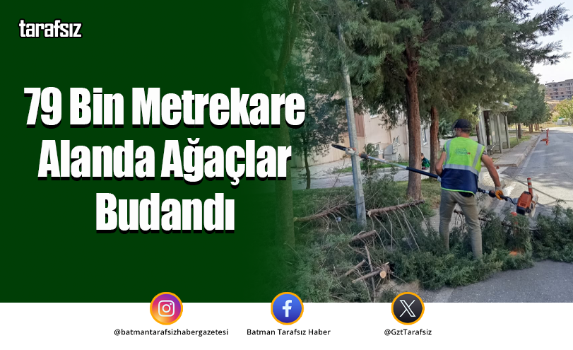 79 Bin Metrekare Alanda Ağaçlar Budandı