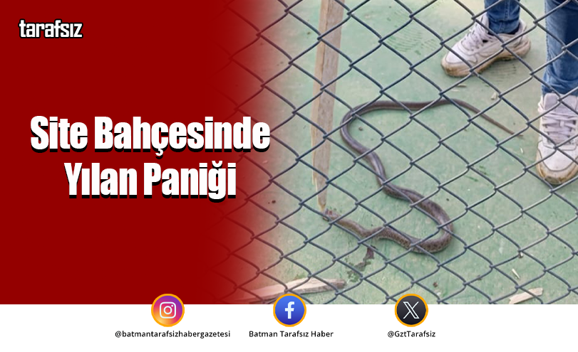 Site Bahçesinde Yılan Paniği