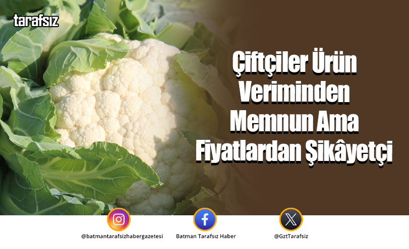 Çiftçiler Ürün Veriminden Memnun Ama Fiyatlardan Şikâyetçi