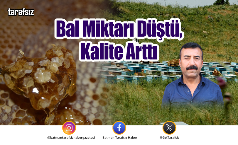 Bal Miktarı Düştü, Kalite Arttı