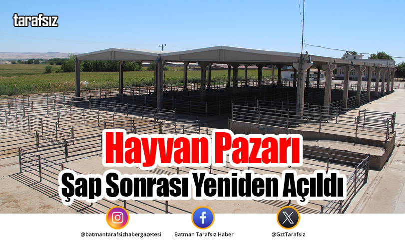 Hayvan Pazarı Şap Sonrası Yeniden Açıldı