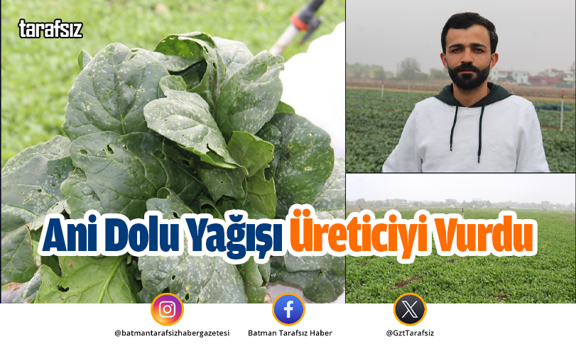 Ani Dolu Yağışı Üreticiyi Vurdu