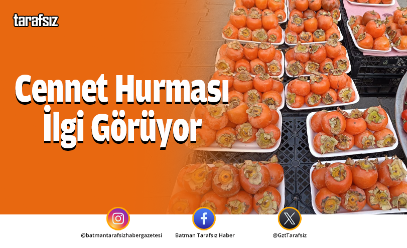 Cennet Hurması İlgi Görüyor