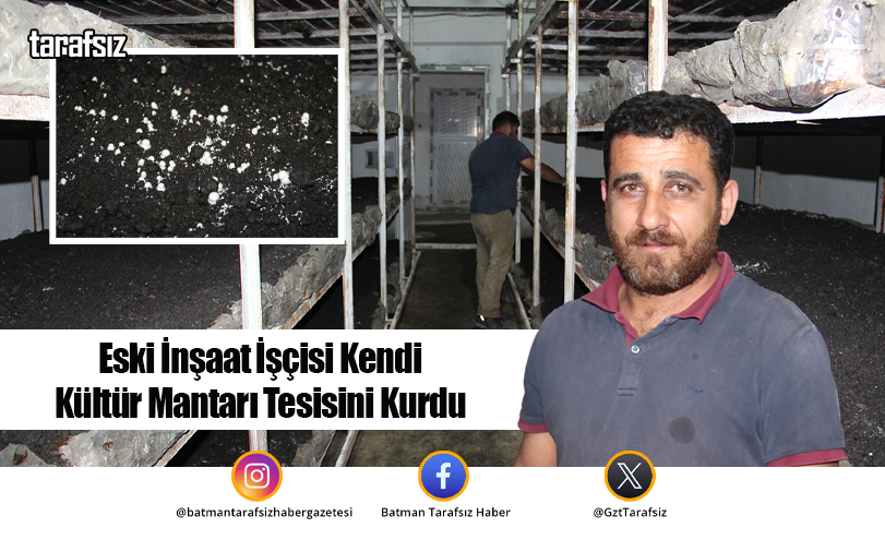 Eski İnşaat İşçisi Kendi Kültür Mantarı Tesisini Kurdu