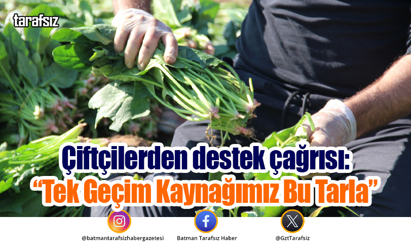 Çiftçilerden destek çağrısı: “Tek Geçim Kaynağımız Bu Tarla”