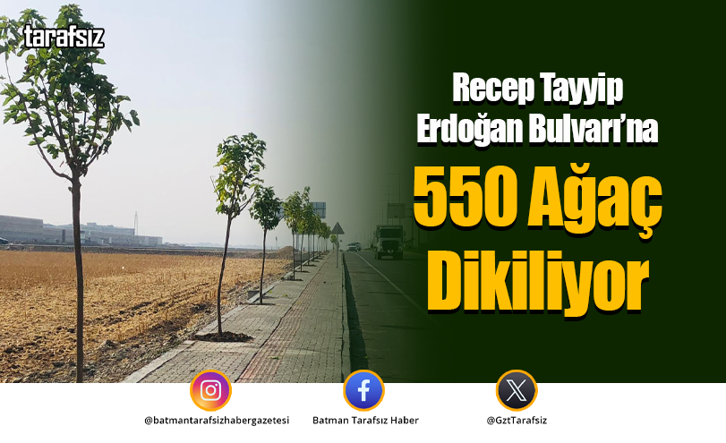 Recep Tayyip Erdoğan Bulvarı’na 550 Ağaç Dikiliyor
