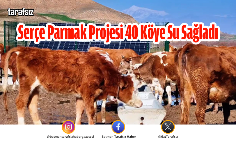 Serçe Parmak Projesi 40 Köye Su Sağladı