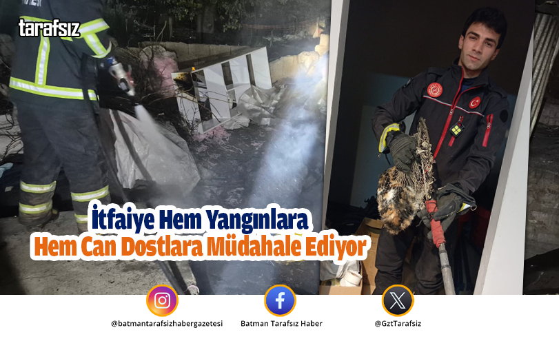 İtfaiye Hem Yangınlara Hem Can Dostlara Müdahale Ediyor