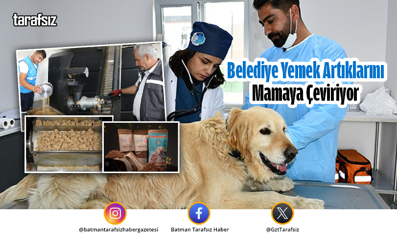 Belediye Yemek Artıklarını Mamaya Çeviriyor