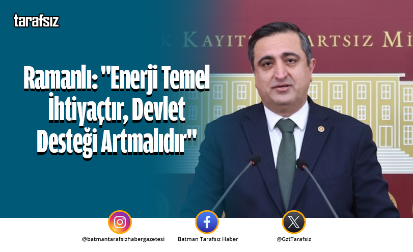 Ramanlı: “Enerji Temel İhtiyaçtır, Devlet Desteği Artmalıdır”
