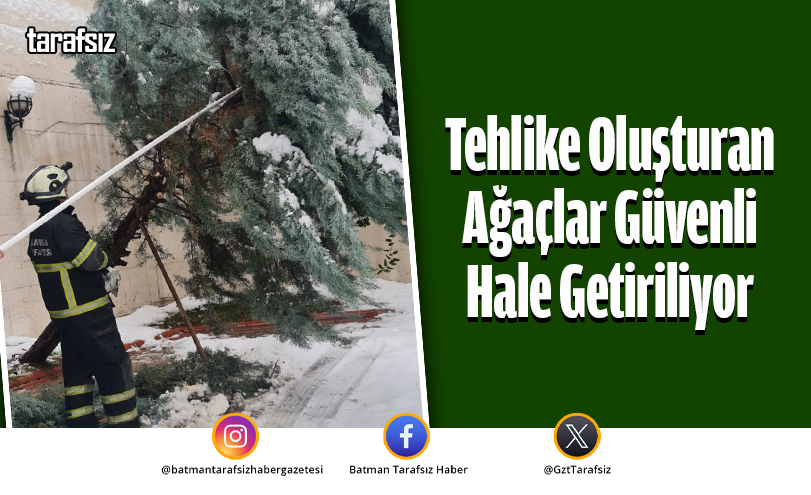 Tehlike Oluşturan Ağaçlar Güvenli Hale Getiriliyor
