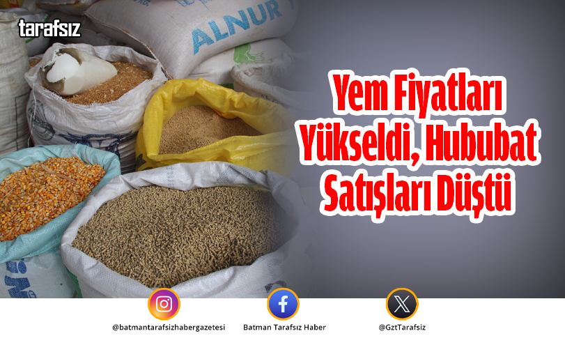 Yem Fiyatları Yükseldi, Hububat Satışları Düştü