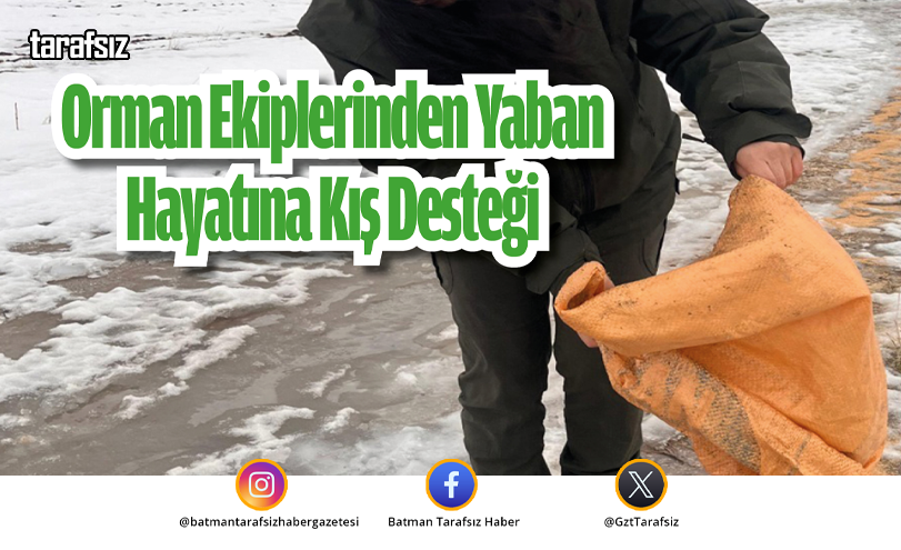Orman Ekiplerinden Yaban Hayatına Kış Desteği