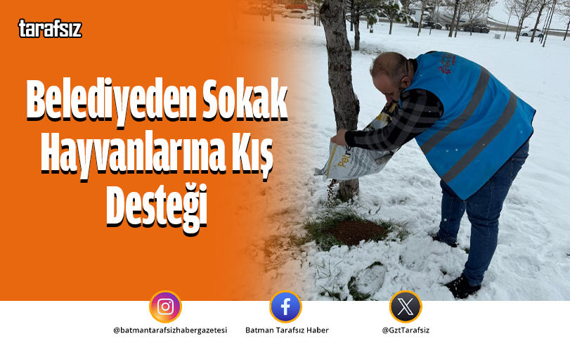 Belediyeden Sokak Hayvanlarına Kış Desteği