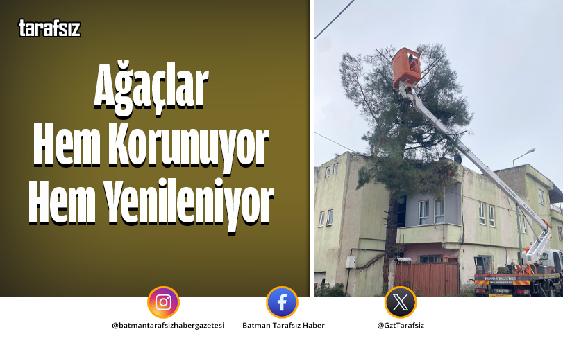 Ağaçlar Hem Korunuyor Hem Yenileniyor