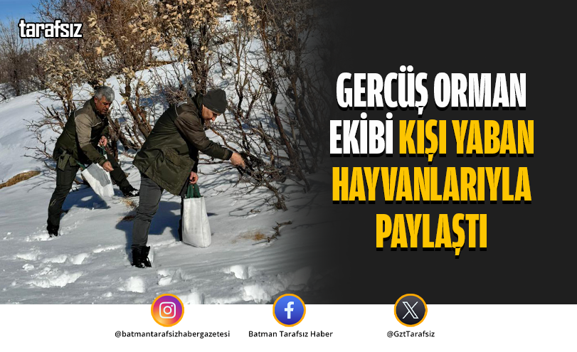 Gercüş Orman Ekibi Kışı Yaban Hayvanlarıyla Paylaştı