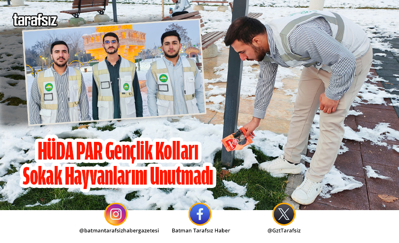 HÜDA PAR Gençlik Kolları Sokak Hayvanlarını Unutmadı