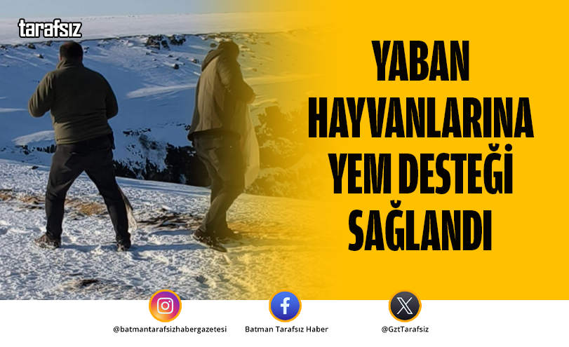 Yaban hayvanlarına yem desteği sağlandı