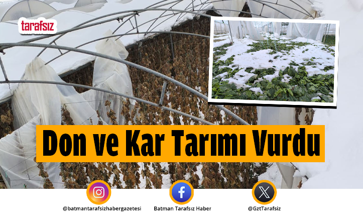 Don ve Kar Tarımı Vurdu