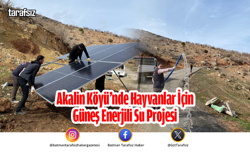 Akalin Köyü’nde Hayvanlar İçin Güneş Enerjili Su Projesi