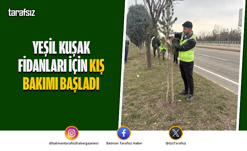 Yeşil Kuşak Fidanları İçin Kış Bakımı Başladı