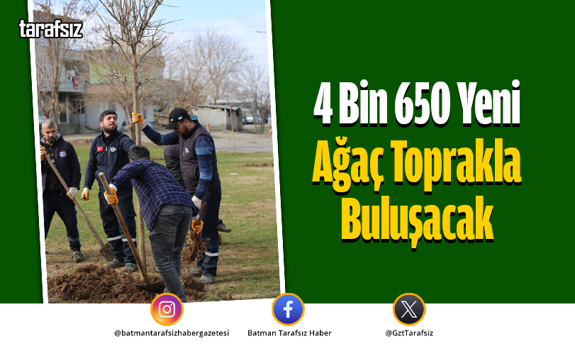 4 Bin 650 Yeni Ağaç Toprakla Buluşacak