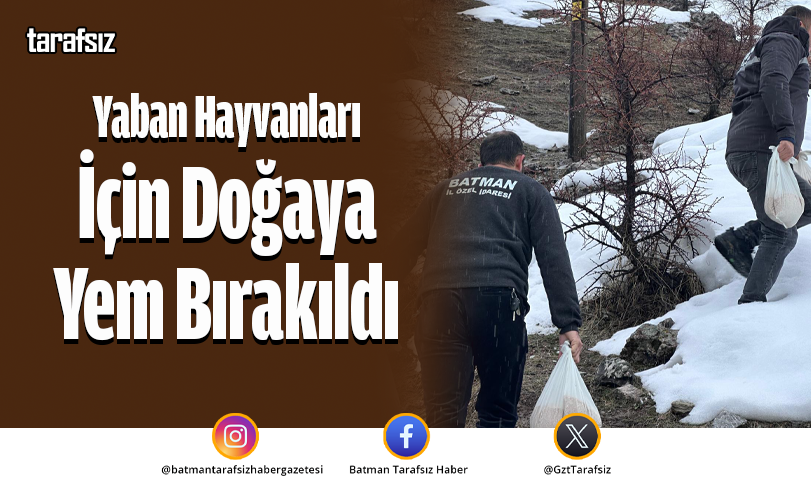 Yaban Hayvanları İçin Doğaya Yem Bırakıldı