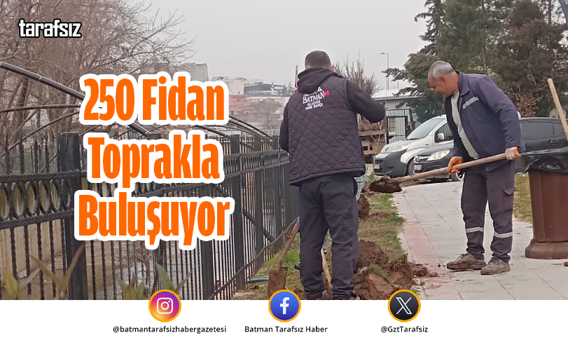 250 Fidan Toprakla Buluşuyor